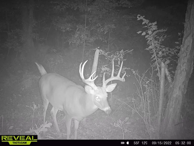 a close view of light fixtures and wooden floor