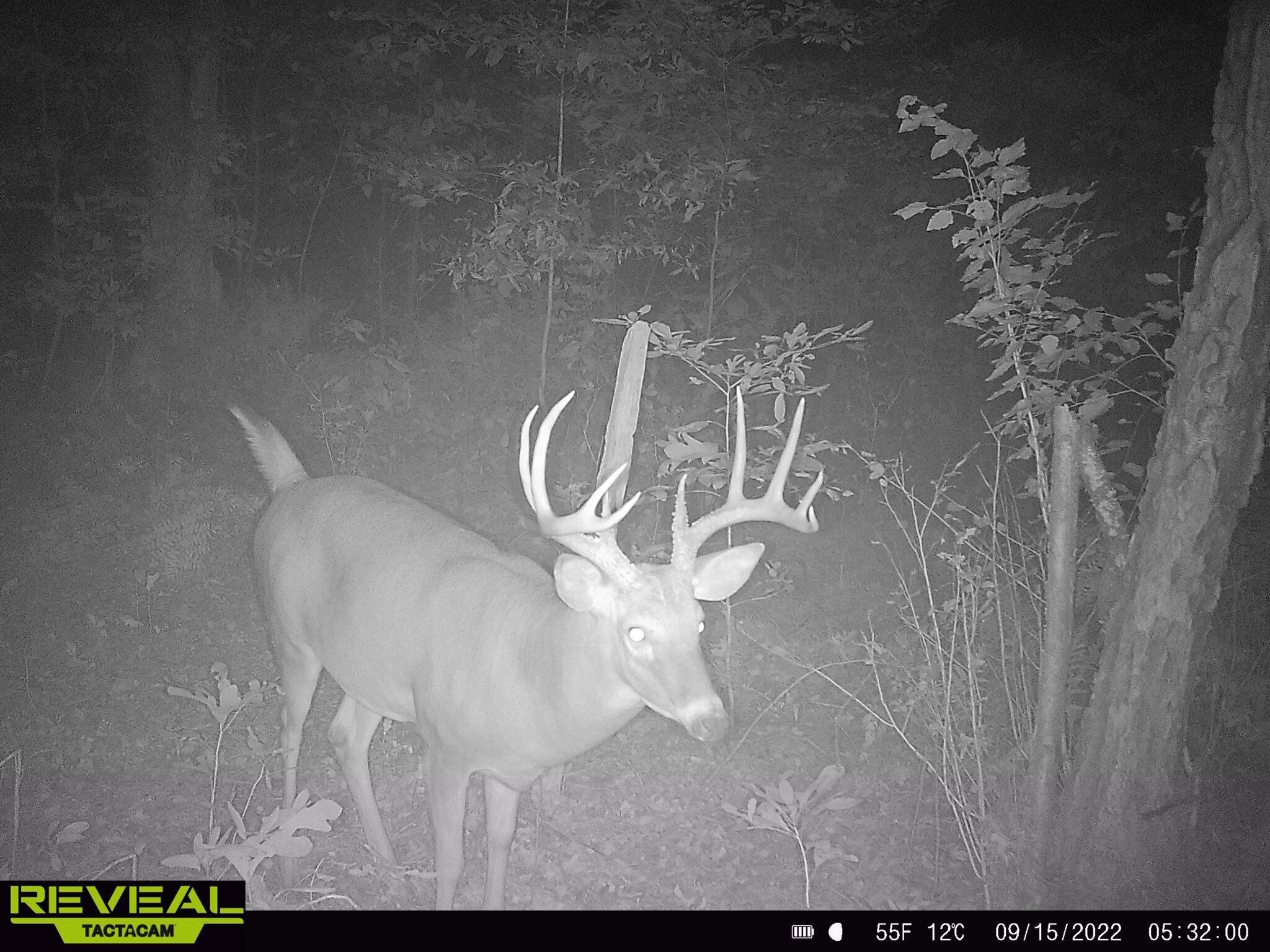 700 North North Street North Rensselaer, IN 47978 - Photo 10 of 13 a close view of light fixtures and wooden floor