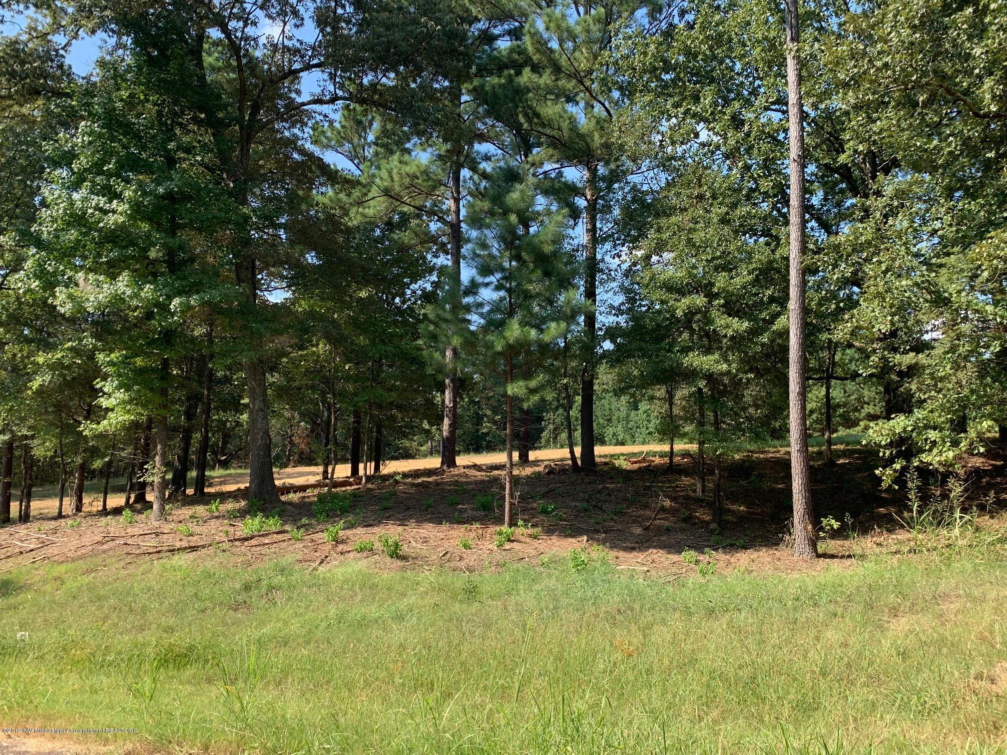 2794 Plank Road Hernando, MS 38632 - Photo 13 of 13 IMG_6085
