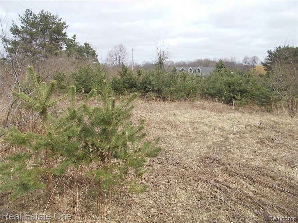 0 North Lake George Road Oakland, MI 48363 - Photo 24 of 55