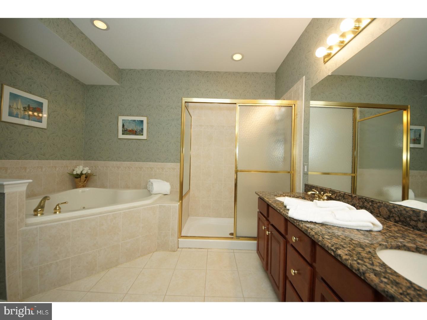 19 Lancaster Court Princeton Junction, NJ 08550 - Photo 19 of 25 Master Bathroom