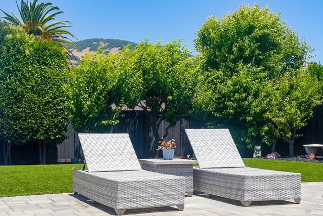 a view of a patio with plants