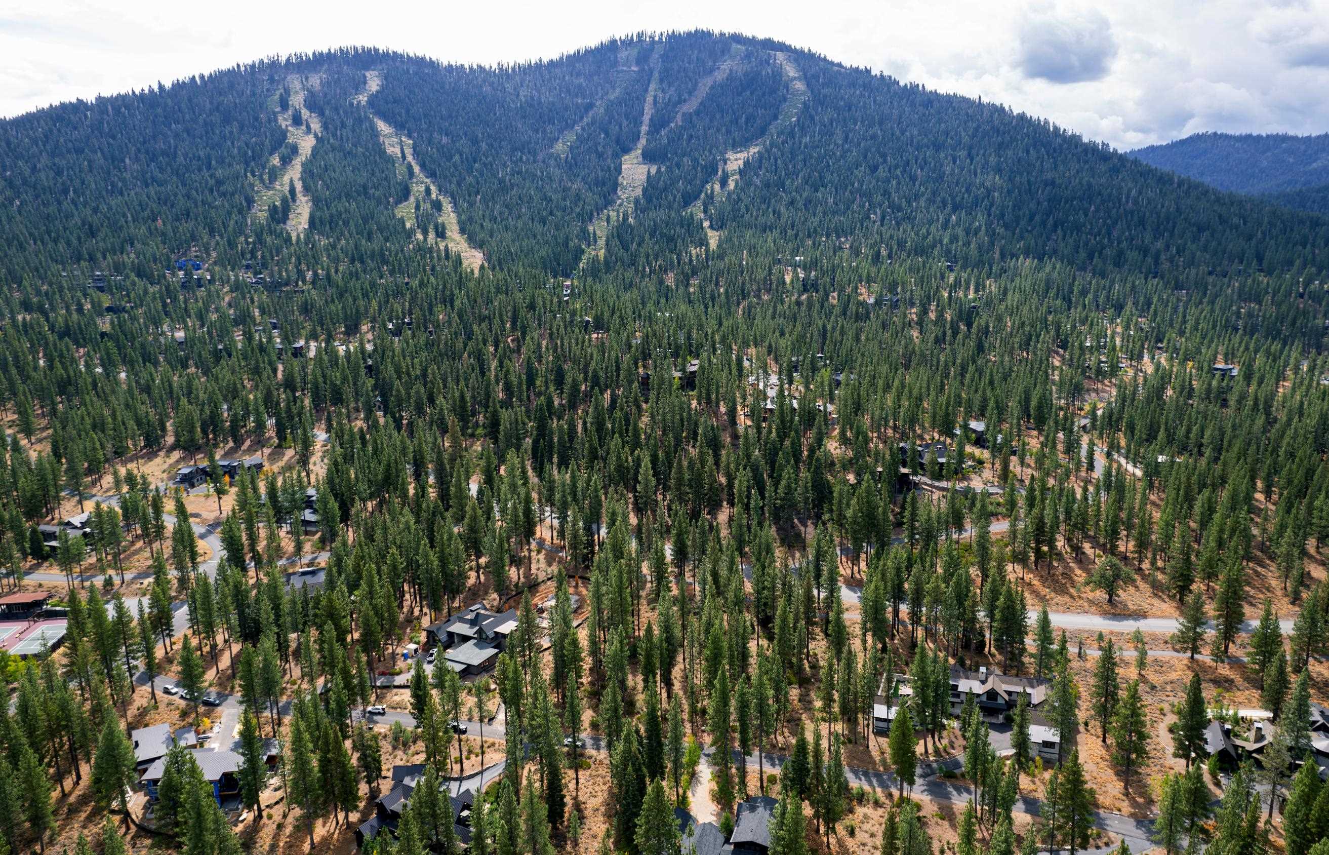 9707 Hunter House Drive Truckee, CA 96161 - Photo 11 of 12 a view of a lush green field