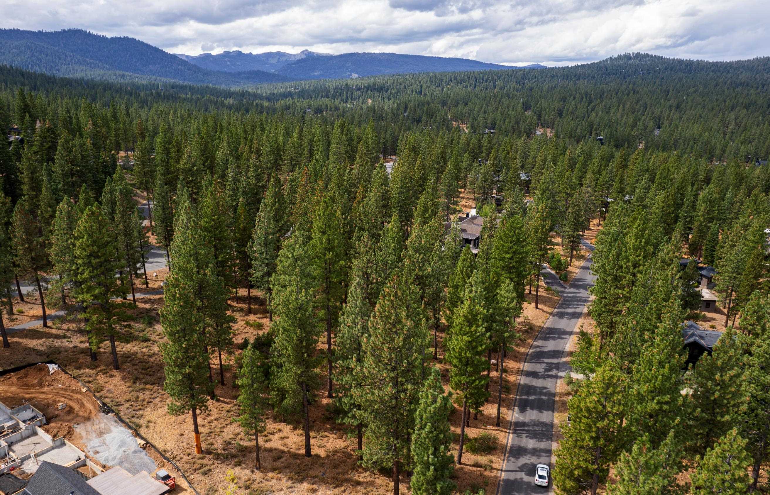 9707 Hunter House Drive Truckee, CA 96161 - Photo 6 of 12 a view of a city with lush green forest