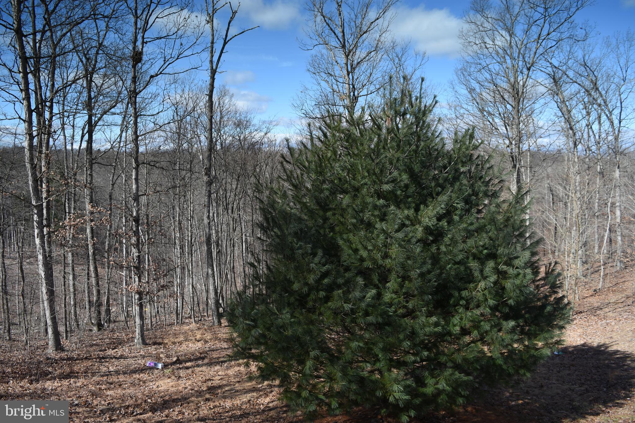2332 Fulton Road Hedgesville, WV 25427 - Photo 31 of 36 Gallery Image 31