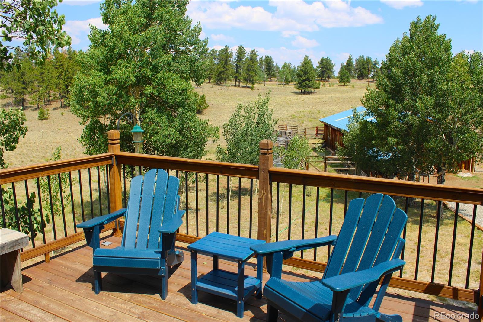 2800 Singletree Road Hartsel, CO 80449 - Photo 6 of 48