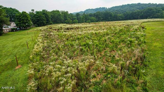 Lot X Winding Ridge Road Everett, PA 15537 - Photo 16 of 17