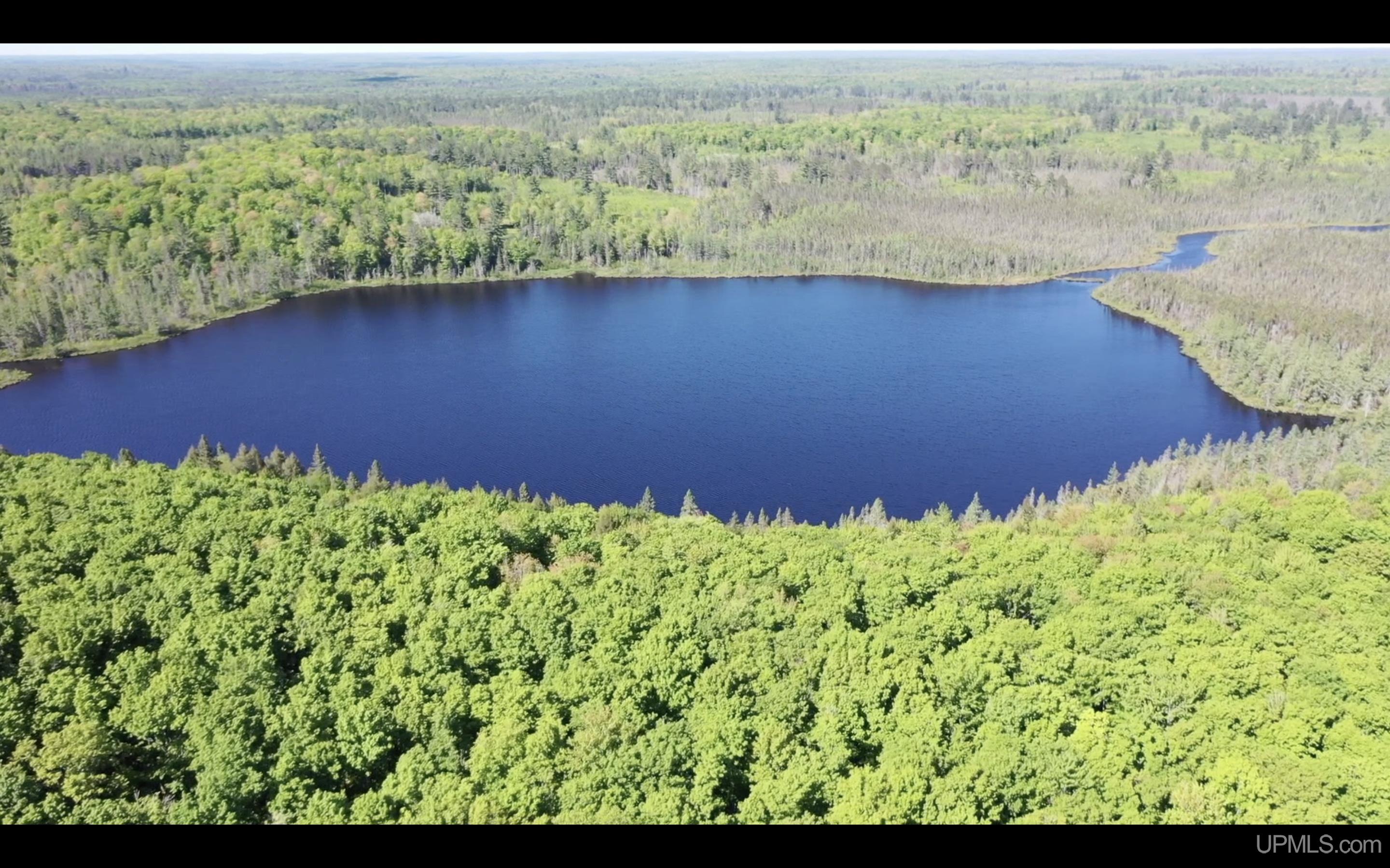 527 Usfs Road Iron River, MI 49935 - Photo 3 of 37