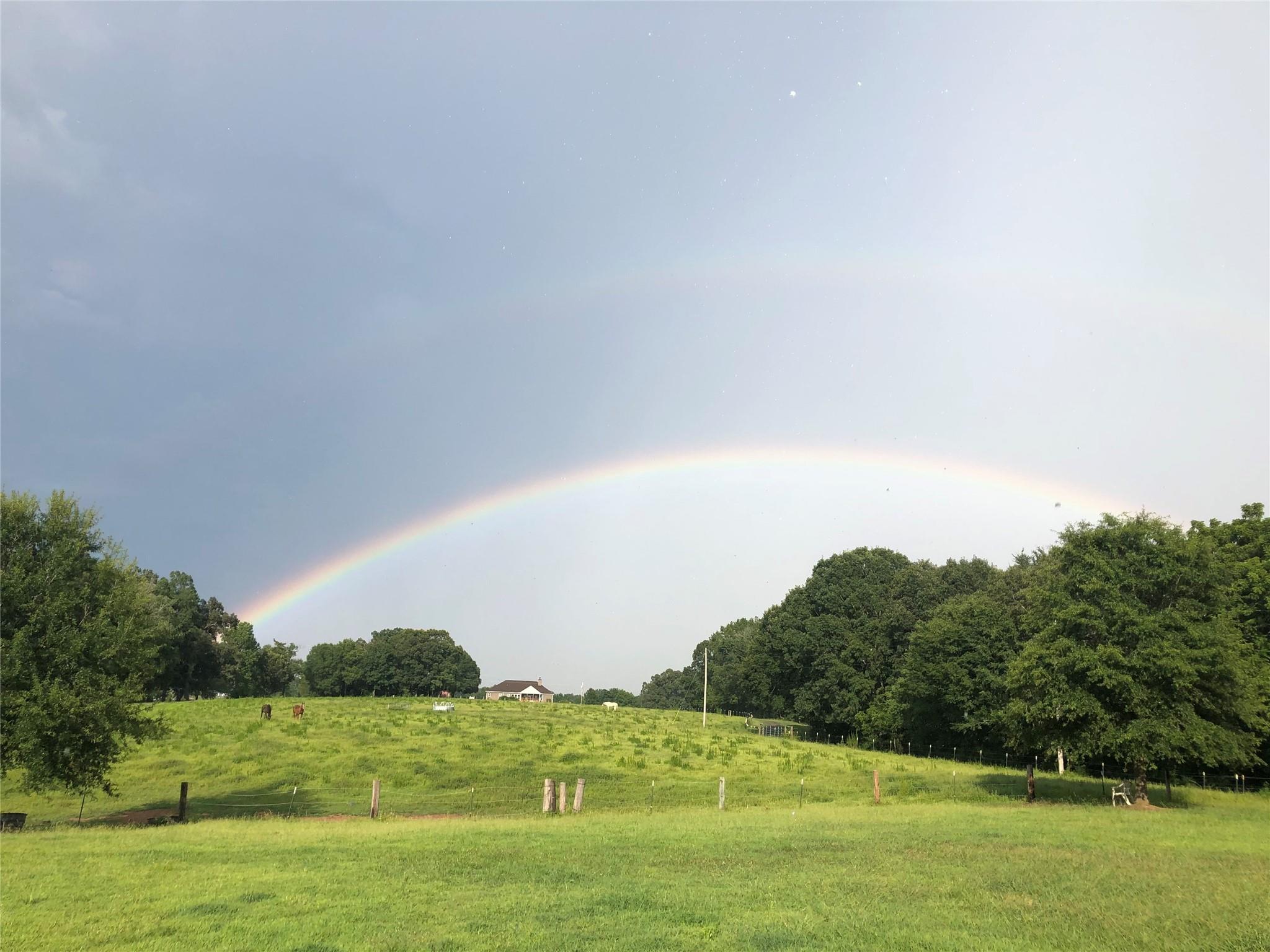 6911 Alexander Farm Road Monroe, NC 28110 - Photo 4 of 48 a view of a grassy field with an trees