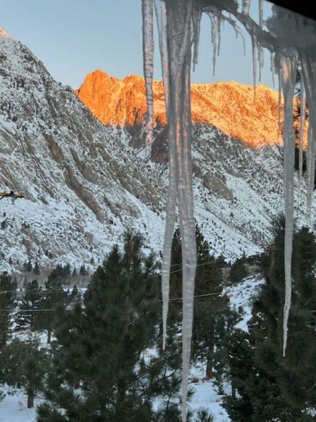 131 West Steelhead Road June Lake, CA 93529 - Photo 45 of 47 a view of a yard with table and chairs and wooden fence