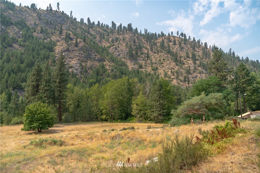 125 Mad River Road Entiat, WA 98822 - Photo 29 of 40 Gallery Image 29