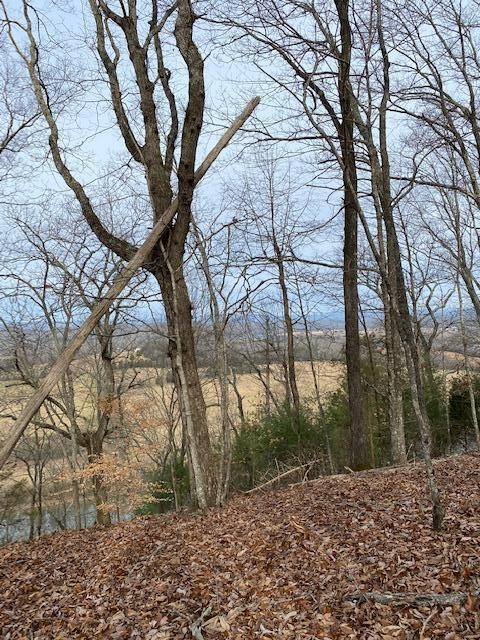 5 River Road Decatur, TN 37322 - Photo 3 of 5 a view of a yard with plants and trees
