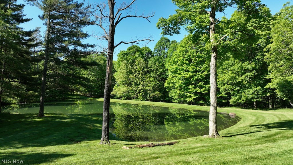 5234 Ribbon Road Southwest Bowerston, OH 44695 - Photo 5 of 50 View of pond