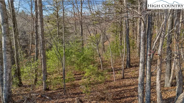 a view of a yard with plants and brick walls