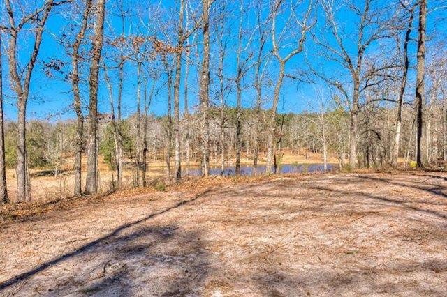 Parcel B Old Dibble Road Aiken, SC 29803 - Photo 13 of 17