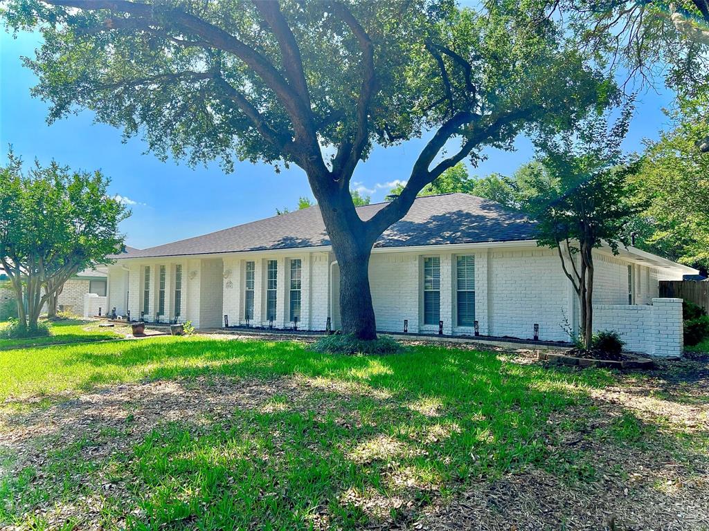 2804 Knollwood Drive Plano, TX 75075 - Photo 1 of 20 a large tree in front of a house with a big yard