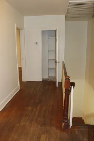 a view of a yard with plants and large trees