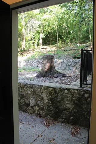 a view of a tree in a yard