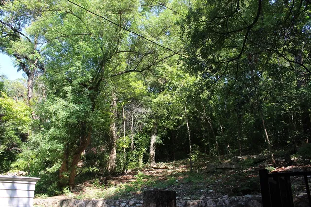 a view of a backyard with pathway