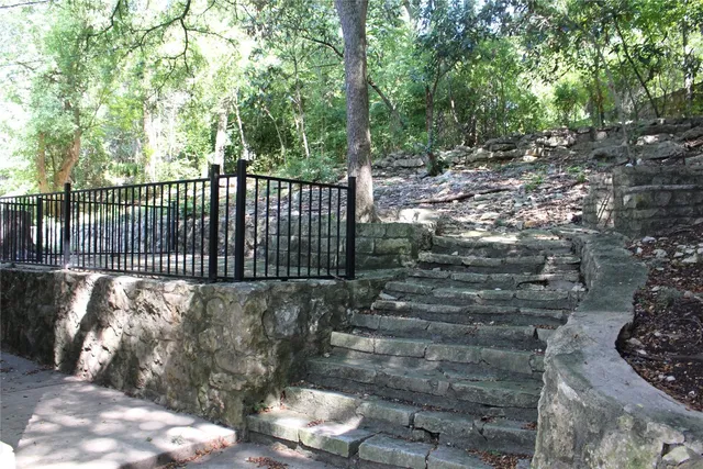 a view of a forest that has a tree