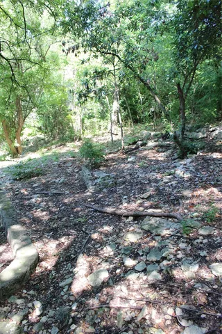 a view of outdoor space with lots of trees