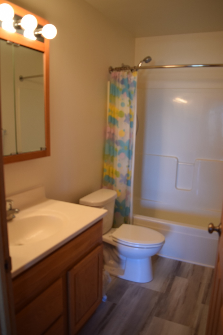 565 North Strack Street, Unit 302 Cortland, IL 60112 - Photo 13 of 15 a bathroom with a sink toilet and shower