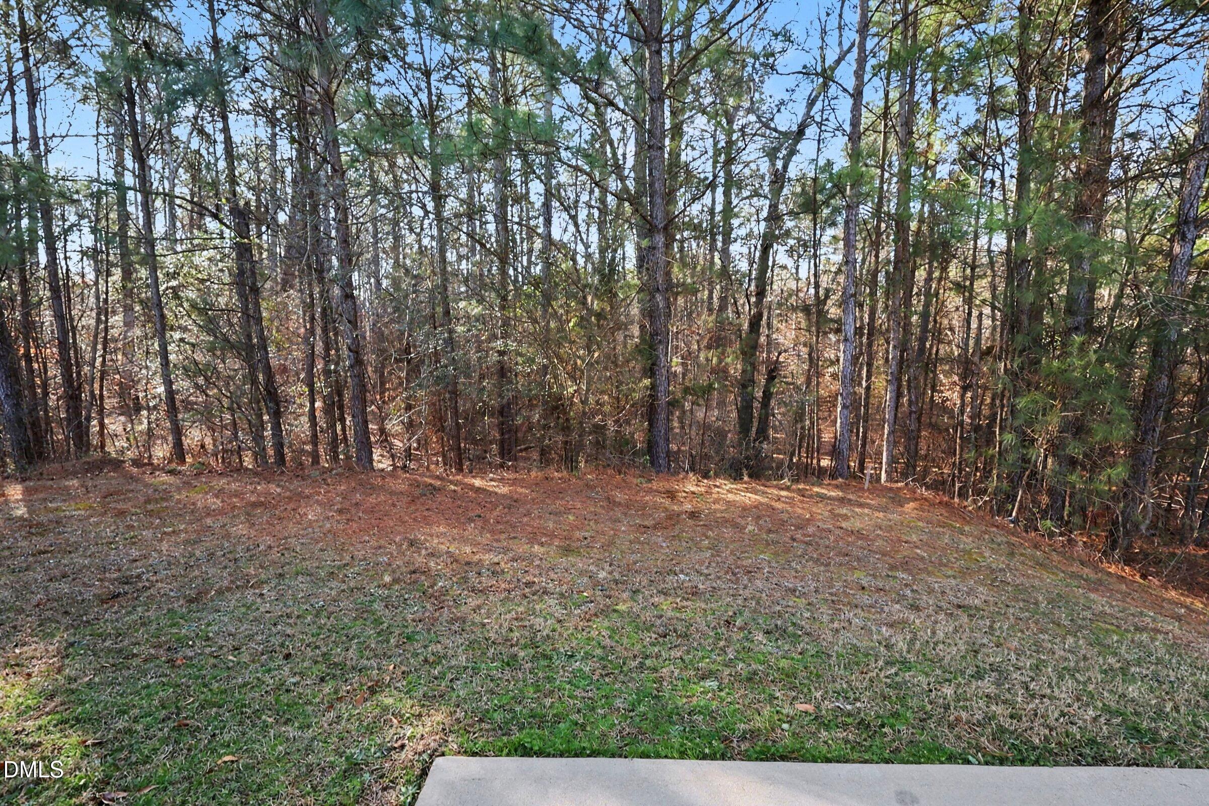 3920 Mike Levi Court Raleigh, NC 27610 - Photo 37 of 38 031_file_4048