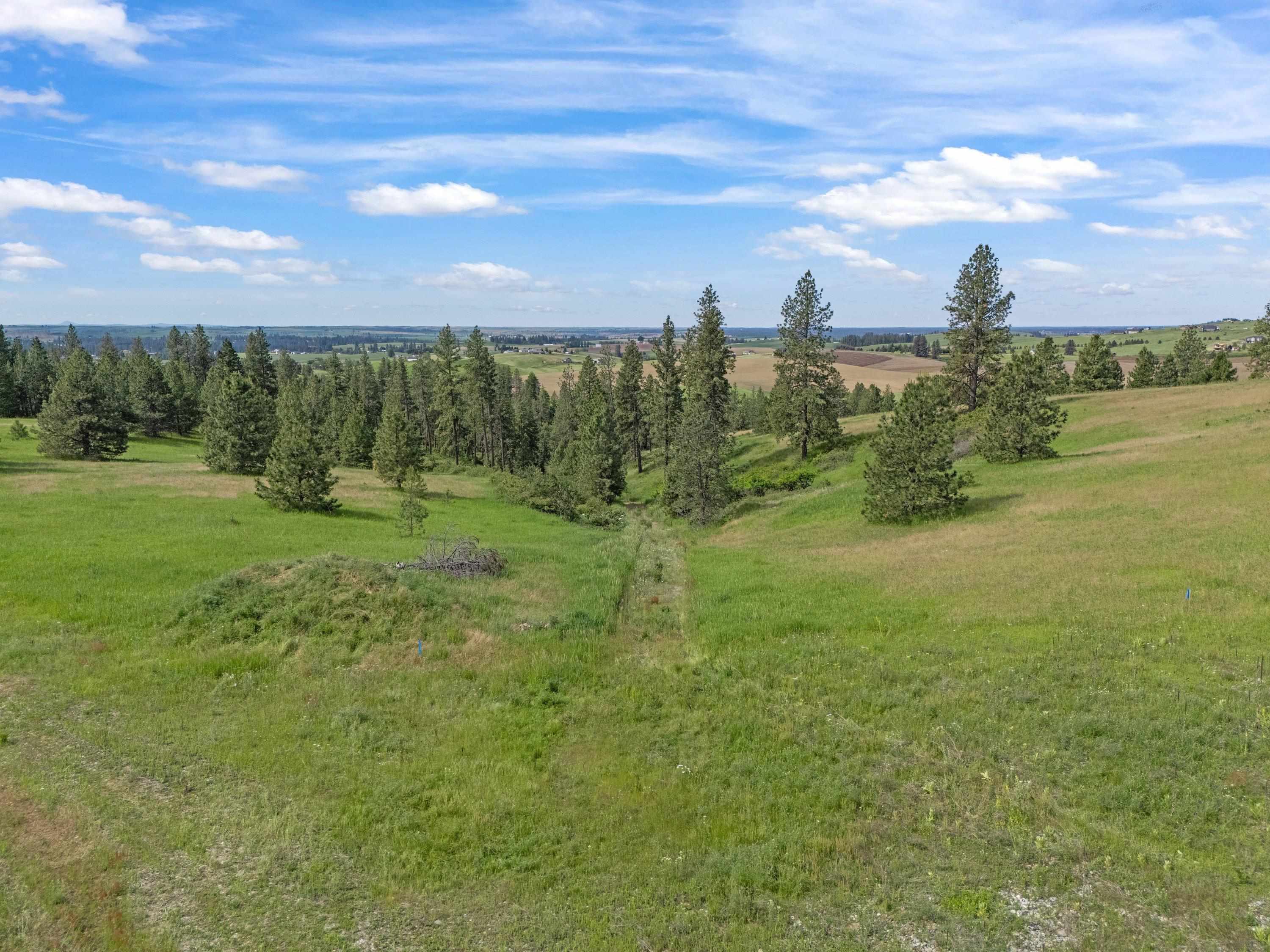 9630 South Sands Road Valleyford, WA 99036 - Photo 13 of 32