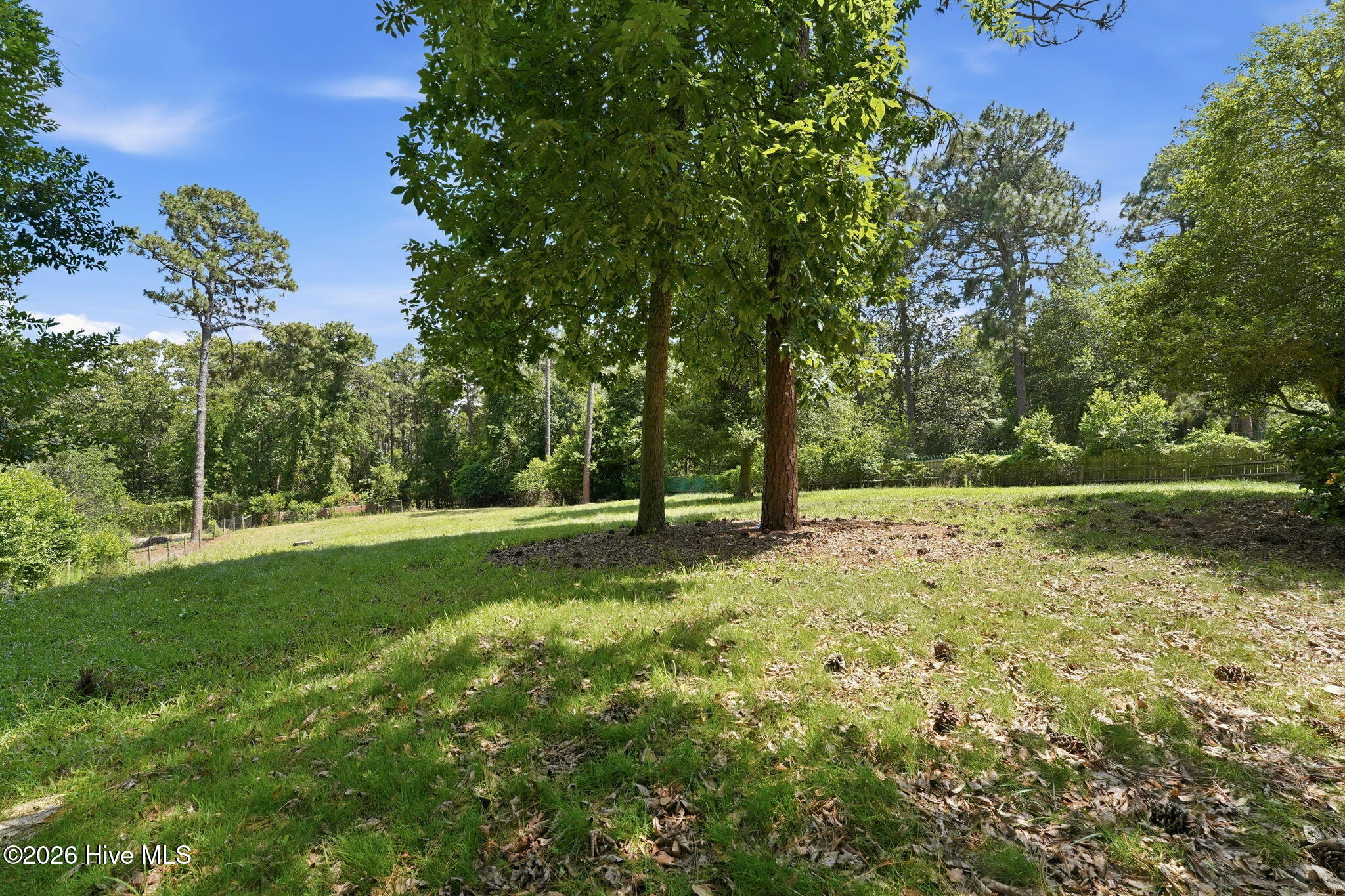 145 Highland Road Southern Pines, NC 28387 - Photo 11 of 44