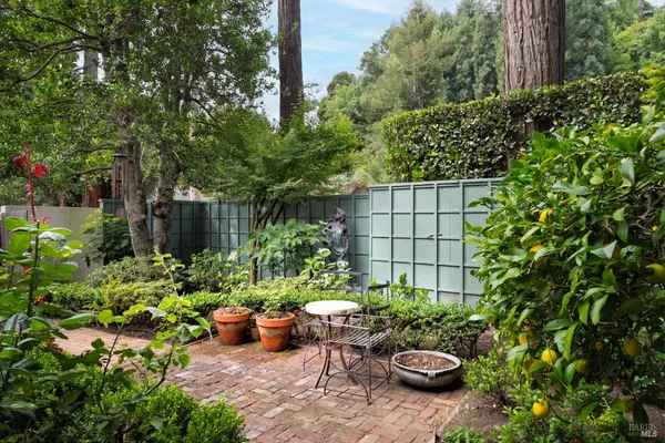 a view of a pathway with a small yard