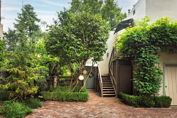 a view of a yard with plants