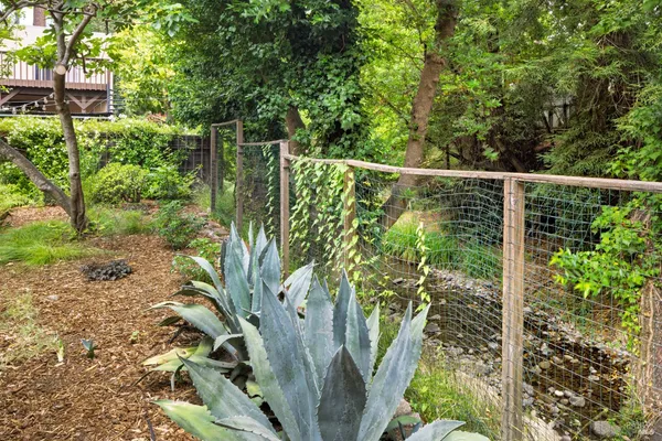 a view of a patio with table and chairs potted plants and large tree
