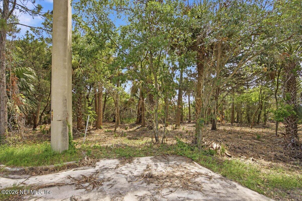 3258 Lewis Speedway St. Augustine, FL 32084 - Photo 3 of 10 a view of backyard with green space