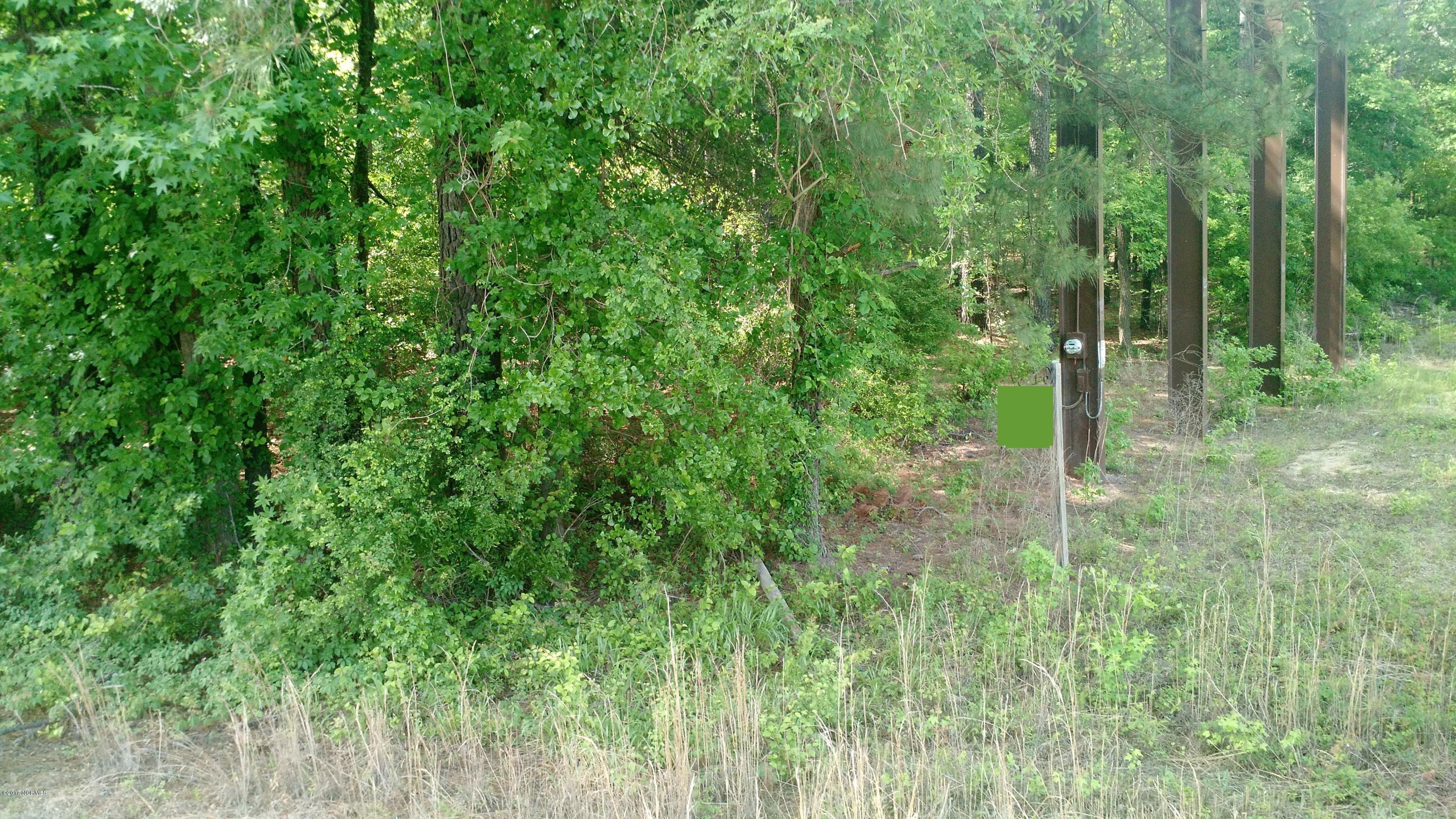 0 West New Bern Road Kinston, NC 28504 - Photo 1 of 1 lot