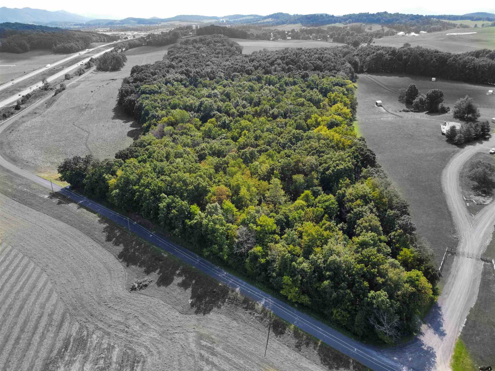 Lot 5 Old B And O Road Raphine, VA 24472 - Photo 2 of 4