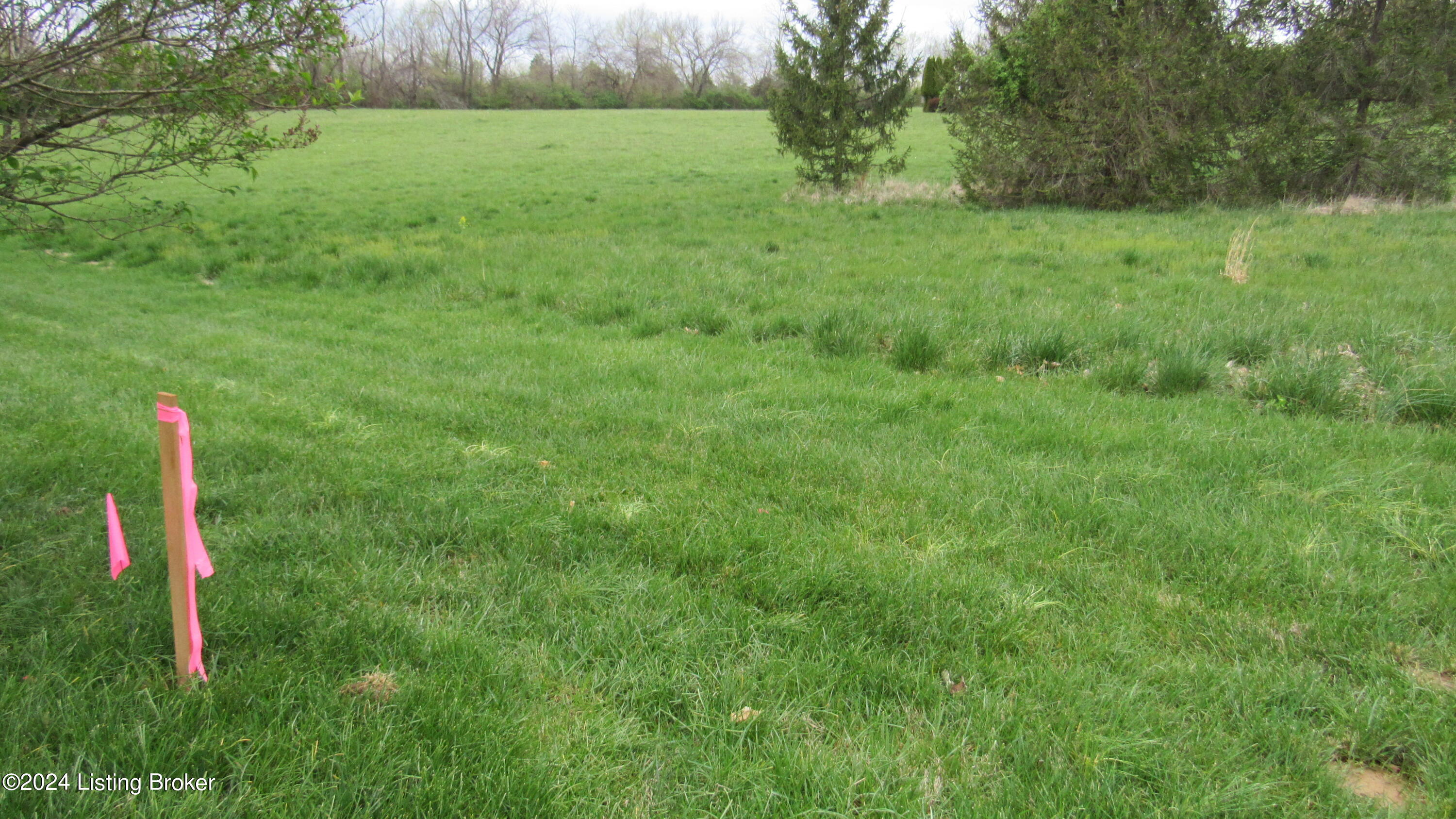 0 Perry Neal Road Crestwood, KY 40014 - Photo 27 of 35 South boundary line stake