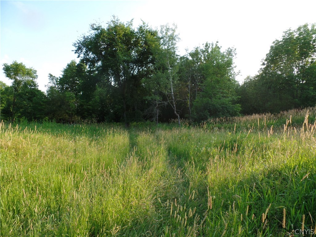 303 Childs Road De Kalb, NY 13680 - Photo 1 of 1 Gallery Image 1
