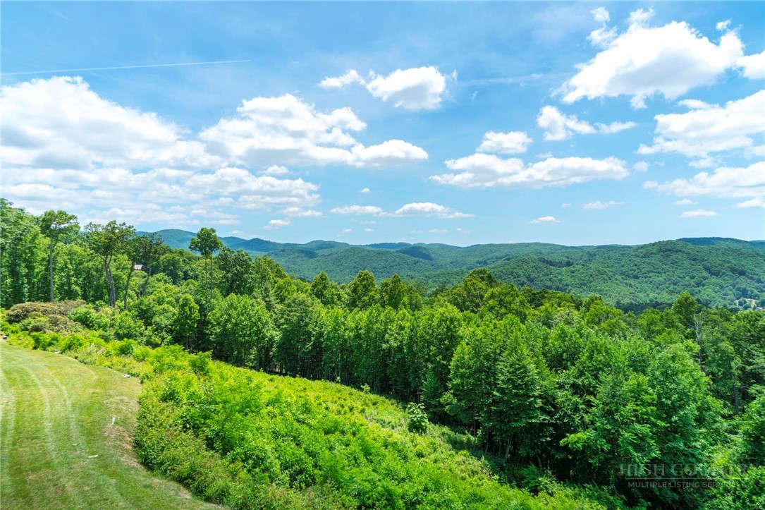 191 Falcon Trace, Unit C532 Boone, NC 28607 - Photo 13 of 41