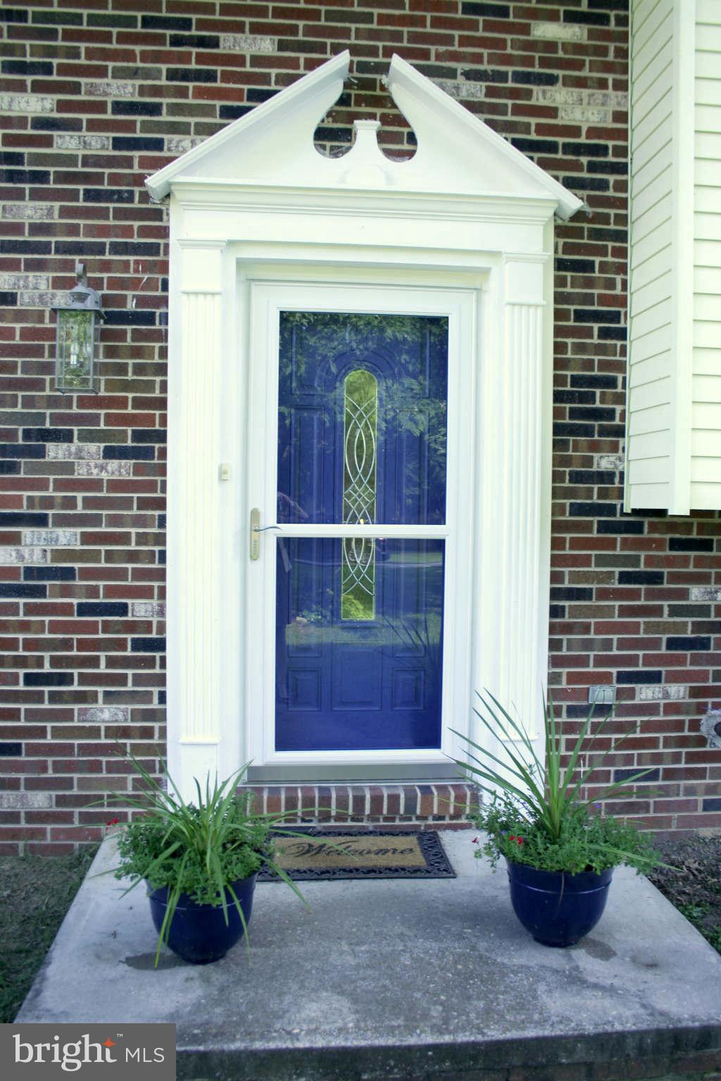 New Front Entrance Door and Storm Door 2010