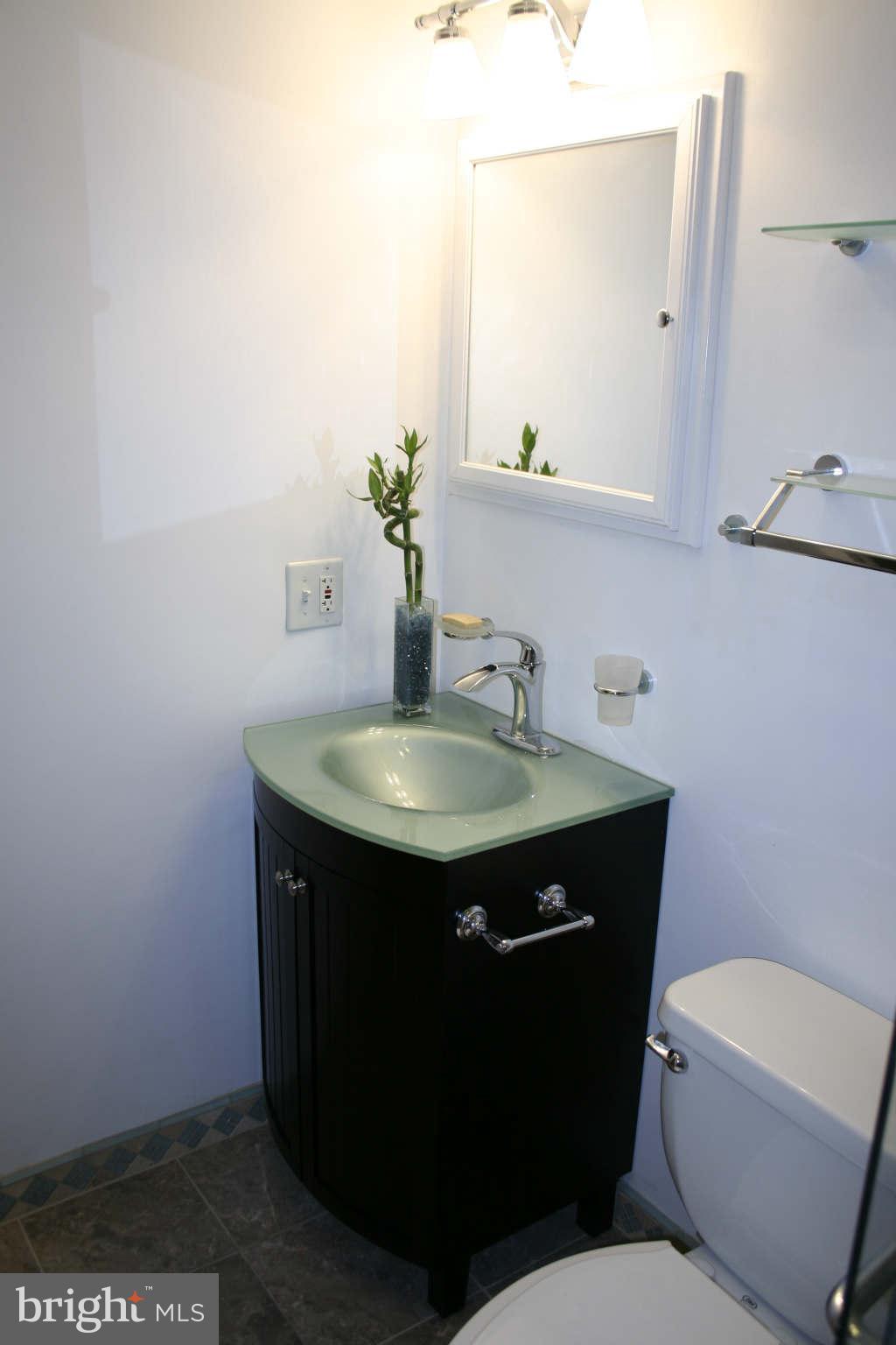 6905 Yale Road Baltimore, MD 21220 - Photo 22 of 27 Lower Level Full Bath Glass Vanity