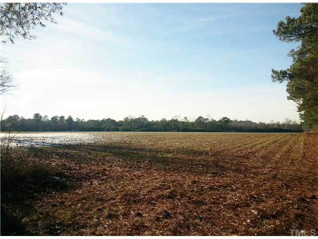 6519 Sherrill Baggett Road Godwin, NC 28344 - Photo 3 of 3 a view of lake