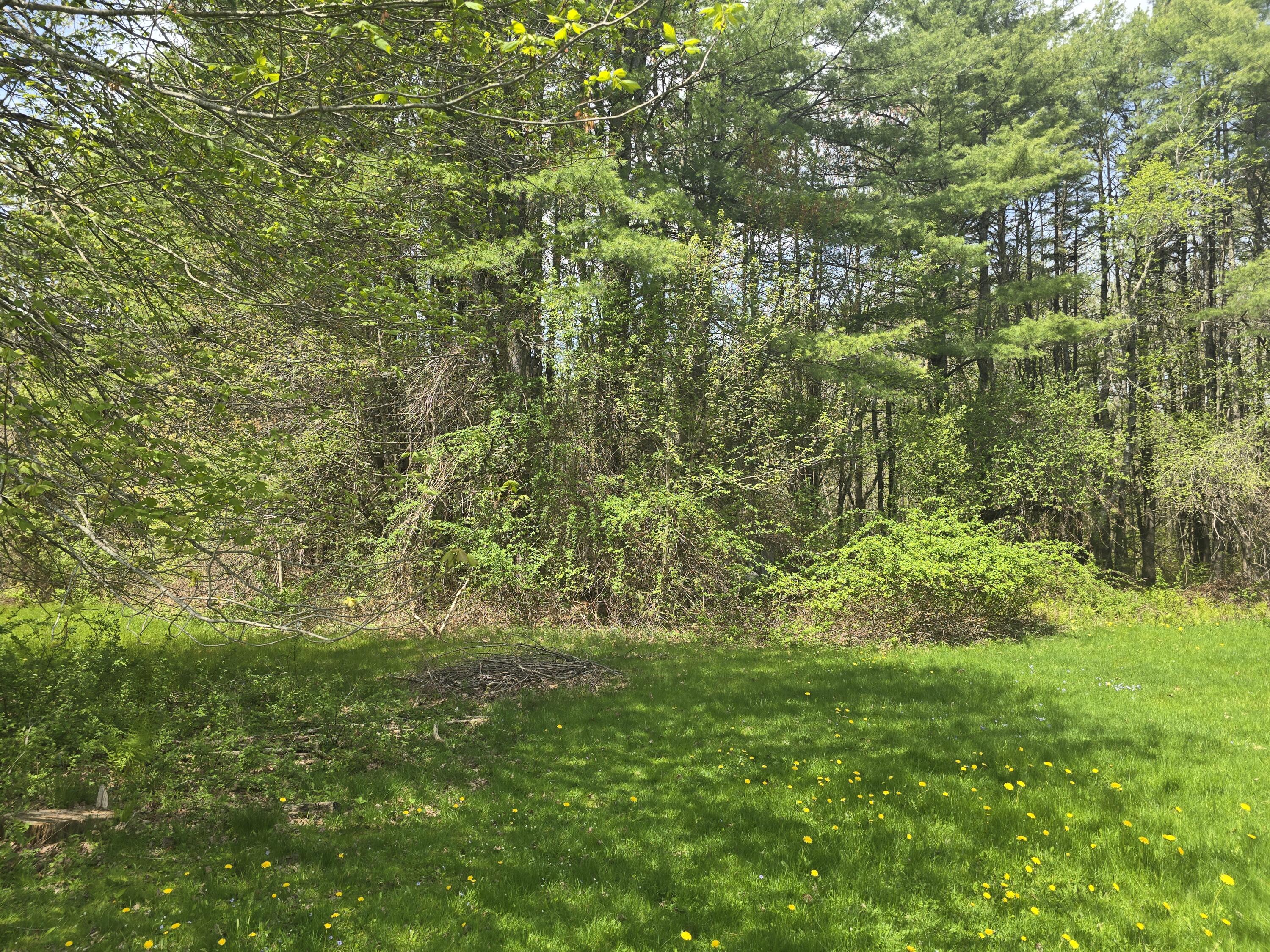 1152 West Alna Road Alna, ME 04535 - Photo 7 of 21 20260519_111330
