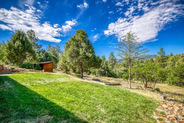a backyard of a house with lots of green space