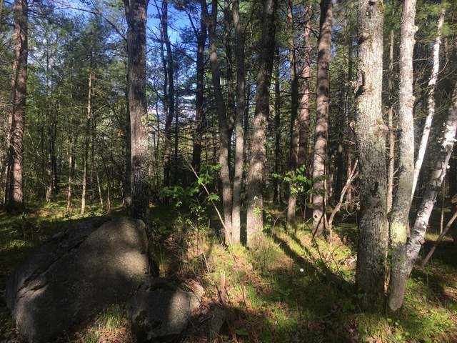 On Zeman Road, Unit LOT 6 Eagle River, WI 54521 - Photo 4 of 5 Gallery Image 4