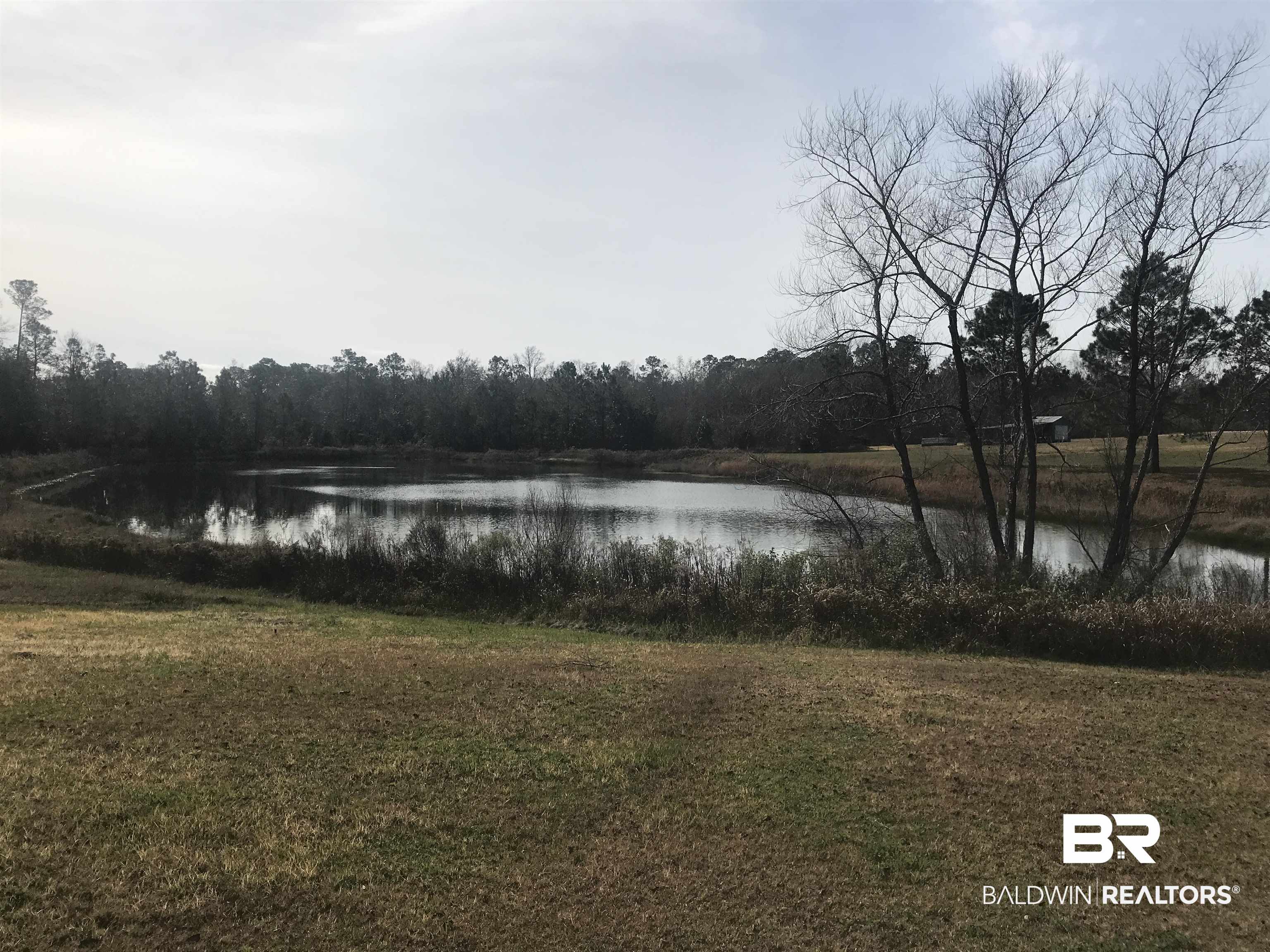 0 Steadham Lane Robertsdale, AL 36567 - Photo 17 of 24