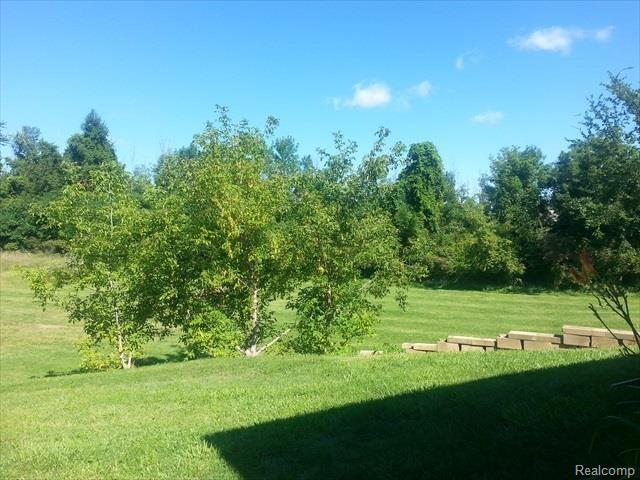 4252 South Mill Road Dryden, MI 48428 - Photo 17 of 19 20150821_110953.jpg