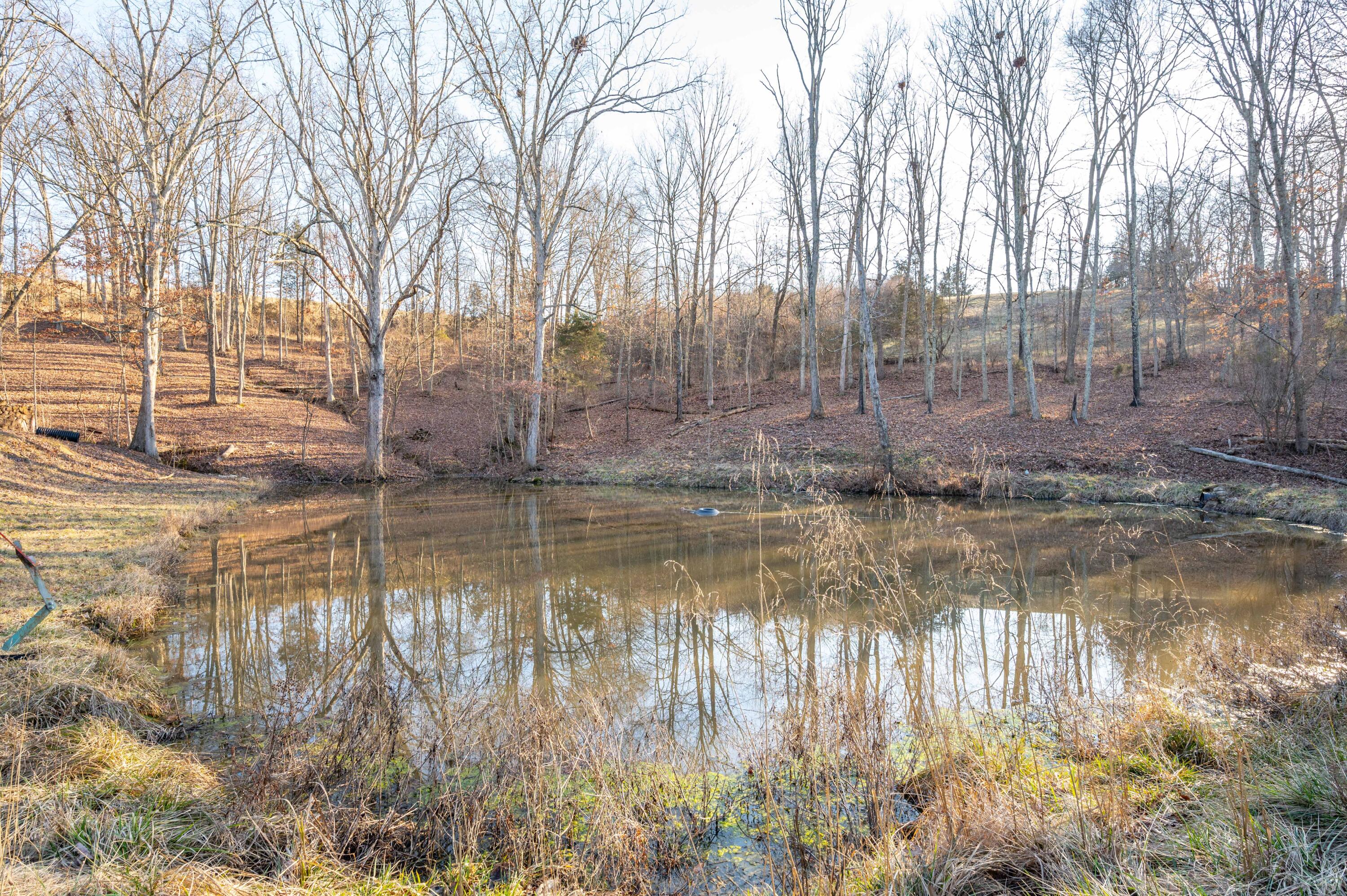 13408 Ridgeview Court Butler, KY 41006 - Photo 35 of 40 Gallery Image 35
