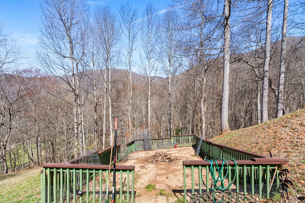 961 South Brooks Cove Road Hayesville, NC 28904 - Photo 48 of 55 a view of outdoor space and yard