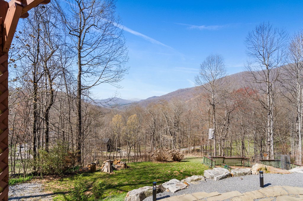 961 South Brooks Cove Road Hayesville, NC 28904 - Photo 50 of 55 a street view with large trees