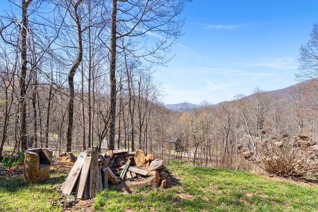 961 South Brooks Cove Road Hayesville, NC 28904 - Photo 51 of 55 a view of backyard with seating space and trees